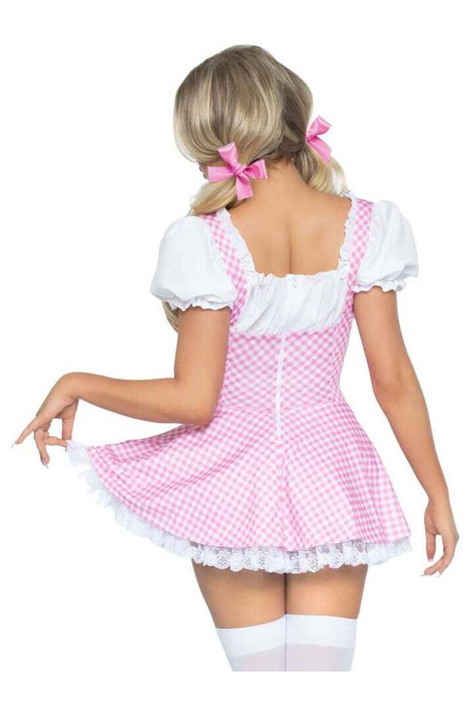 Leg Avenue Gingham Dress With Apron in Pink/White 1
