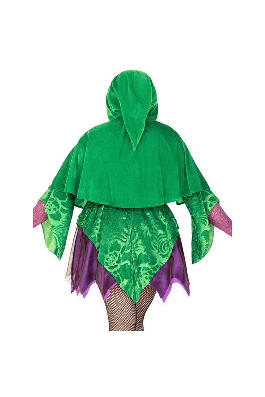 Leg Avenue Plus Crafty Spellcaster Costume Purple/Green 1