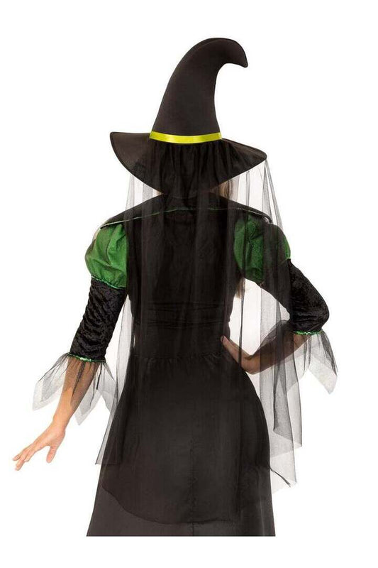 Leg Avenue Storybook Witch Costume in Black/Green 1