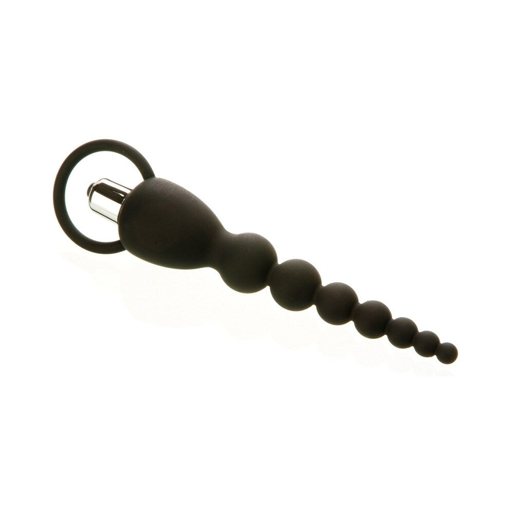 Adam & Eve Vibrating Silicone Anal Beads (Bag Packaging)3