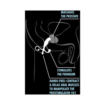 Blush Performance ProStimulator VX1 Prostate Massager Black7