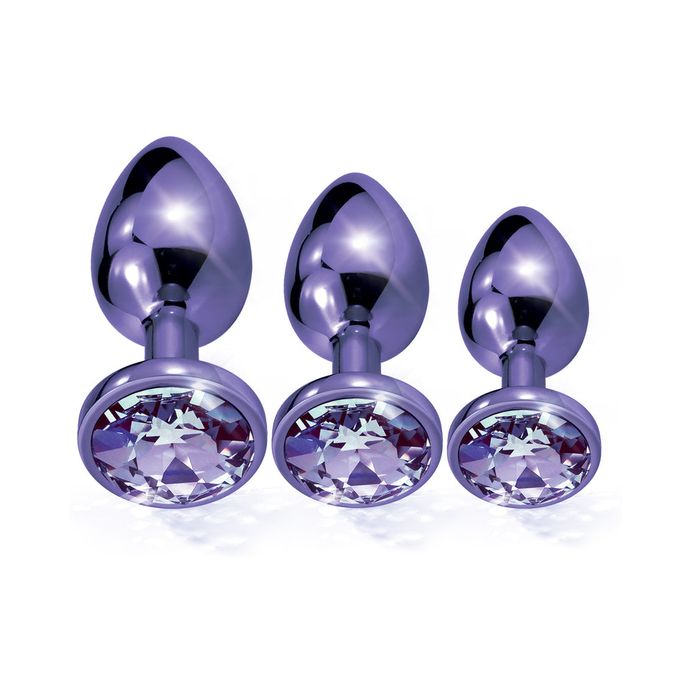 Global Novelties Nixie Metal Butt Plug Trainer Set 3-Piece Purple Metallic 2