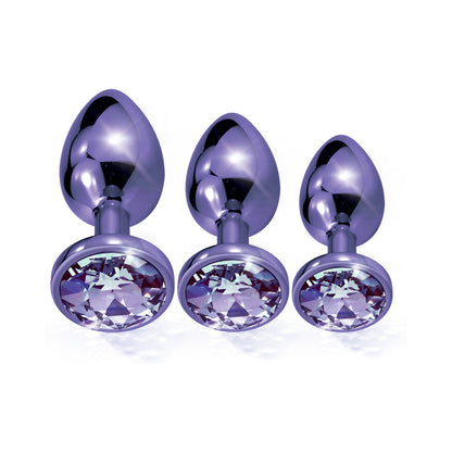 Global Novelties Nixie Metal Butt Plug Trainer Set 3-Piece Purple Metallic 2