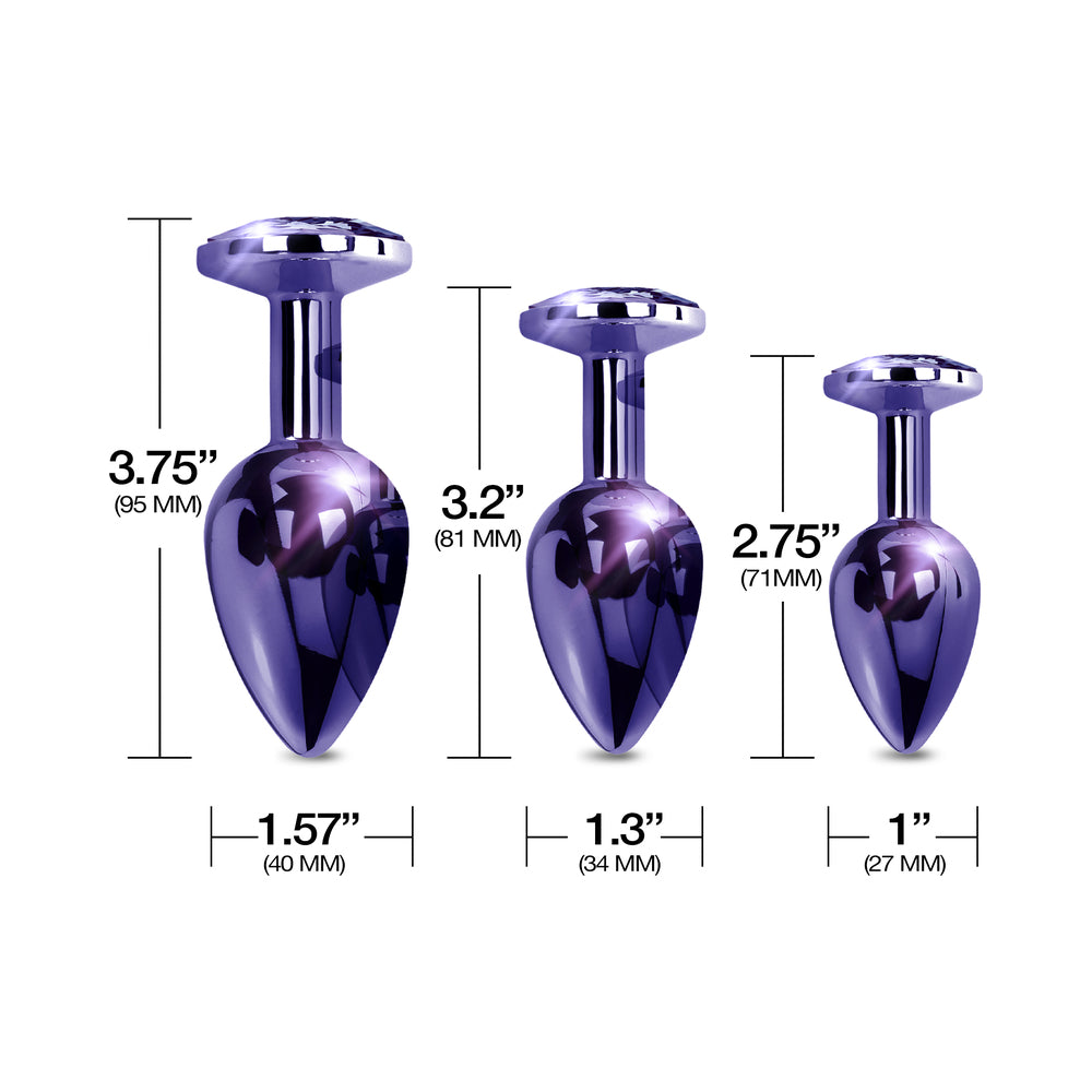 Global Novelties Nixie Metal Butt Plug Trainer Set 3-Piece Purple Metallic 3