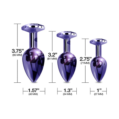 Global Novelties Nixie Metal Butt Plug Trainer Set 3-Piece Purple Metallic 3