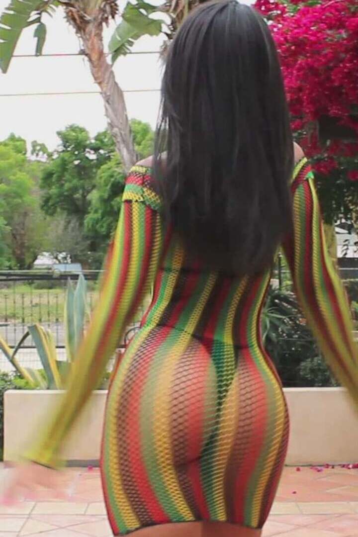Leg Avenue Rasta Net Mini Dress Rasta in One Size 8