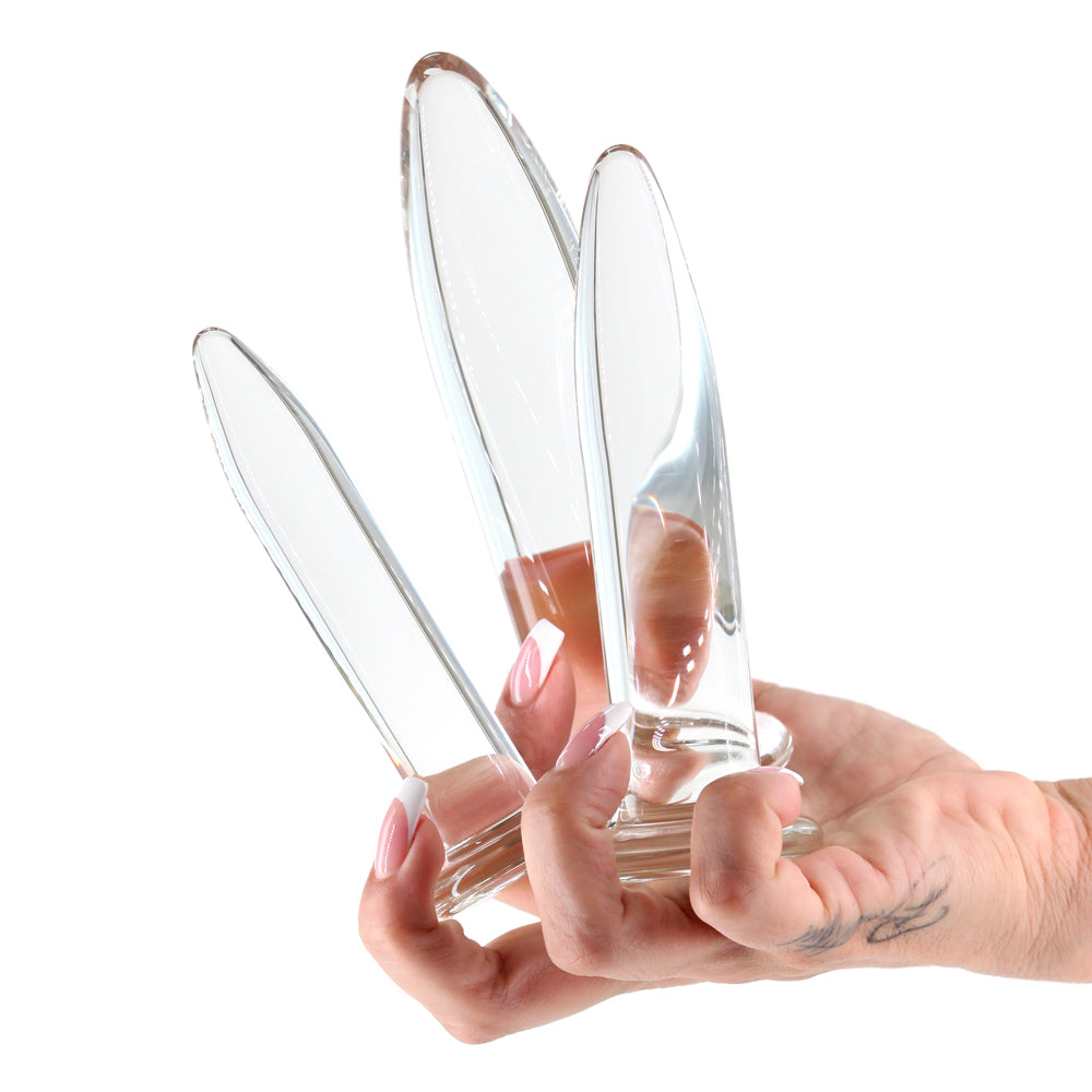 NS Novelties Crystal 3-Piece Glass Trainer Kit Clear2