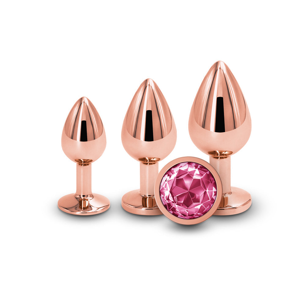 NS Novelties Rear Assets 3-Piece Metal Plug Kit 5